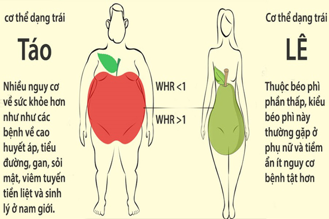 Cách xem chỉ số BMI khoa học chính xác cho bạn Thân hình
