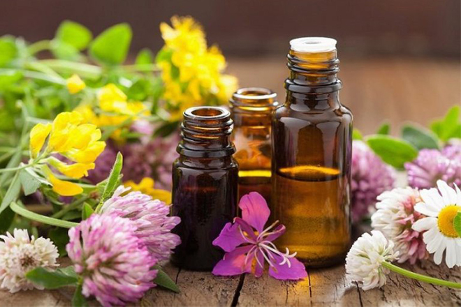 15 cách đuổi chuột trong nhà dân gian nhân đạo và hiệu quả Các loại tinh dầu