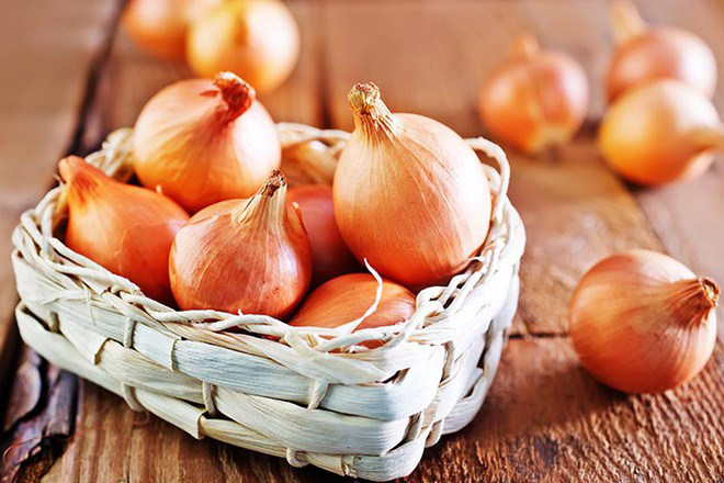 15 cách đuổi chuột trong nhà dân gian nhân đạo và hiệu quả Cách đuổi chuột trong nhà bằng hành tây